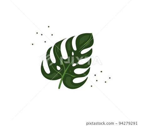 Hand drawn vector stock abstract flat cartoon graphic illustration with tropical palm leaf isolated on white background 94279291