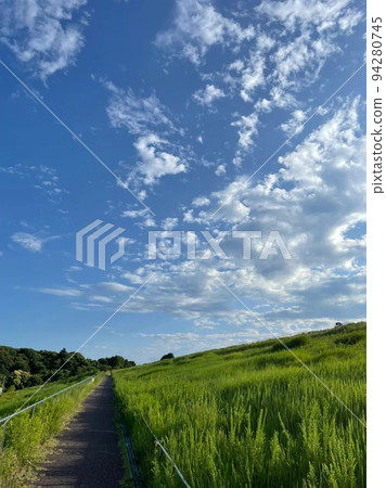 blue sky and walking path blue sky and walking path 94280745