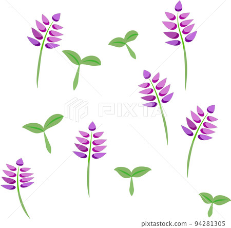 lavender and sprout 94281305