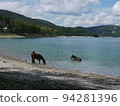 湖和馬 94281396