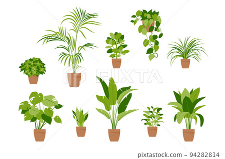 Collection home plants. Potted plants isolated on white. Vector set green plants. Trendy home decor with indoor plants. 94282814