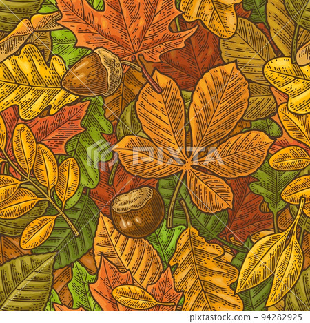 Seamless pattern leafs, acorn, chestnut and seed. Vector vintage engraving Seamless pattern leafs, acorn, chestnut and seed. Vector vintage engraving 94282925
