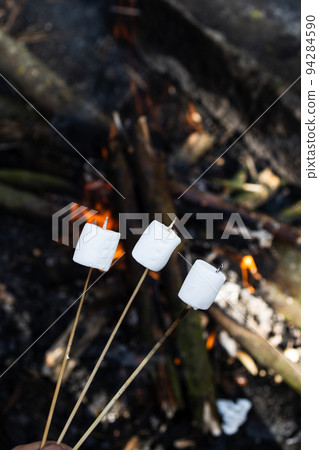 Marshmallow on a stick at the stake. Fried marshmallows. Picnic in the nature. Marshmallows on a background of fire. 94284590