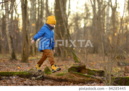 Cheerful child during walk in the forest on a sunny autumn day. Preschooler boy is having fun while walking through the autumn forest. Family time on nature. 94285445