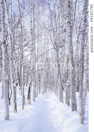 北海道的雪景 94285799