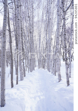 北海道的雪景 北海道的雪景 94285801