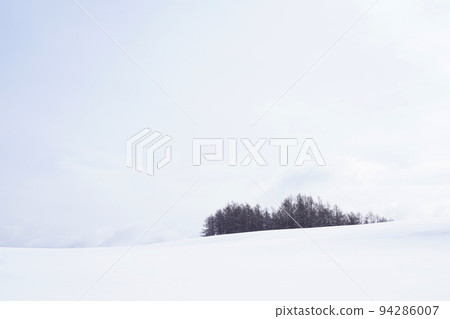 snow scene in Hokkaido snow scene in Hokkaido 94286007