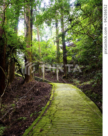 山上的石牌坊 山上的石牌坊 94286652