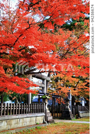 秋葉盛開的米澤／上杉神社 94286674