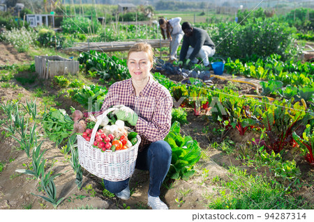 Portrait of a smiling young woman with a basket of harvested crops 94287314