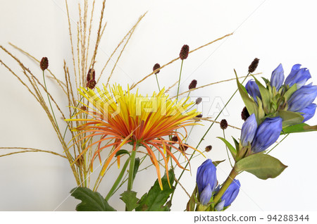 Moon viewing flower vase white background Moon viewing flower vase white background 94288344