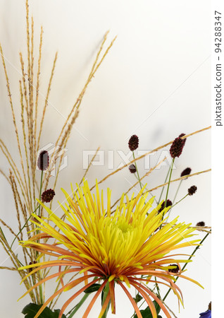 賞月花瓶白色背景 94288347