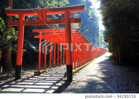 Nanguyama Stroll 33 (Nangu Taisha Shrine: Tarui-cho, Fuwa-gun, Gifu Prefecture) Nanguyama Stroll 33 (Nangu Taisha Shrine: Tarui-cho, Fuwa-gun, Gifu Prefecture) 94289158