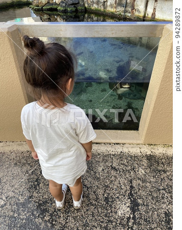 一個愛水族館的女孩 94289872