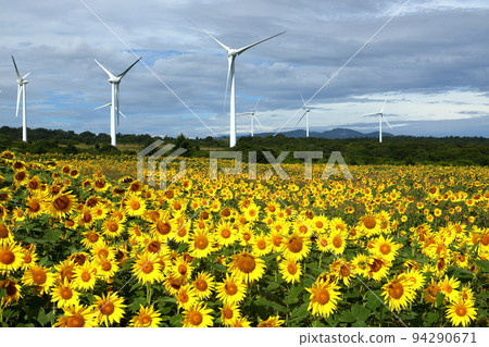 Akatsu, Konan-cho, Koriyama City, Fukushima Prefecture Koriyama-Nunobiki Kaze no Kogen (Wind Plateau) A sunflower field that spreads out under a wind turbine 94290671