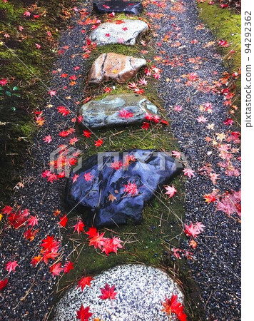 踏腳石和楓葉被雨淋濕 踏腳石和楓葉被雨淋濕 94292362