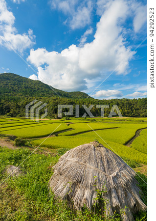 Daytime view of Tashinoso (Bungotakada City, Oita Prefecture) Daytime view of Tashinoso (Bungotakada City, Oita Prefecture) 94292523