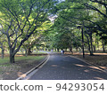 代代木公園的綠色風景 94293054