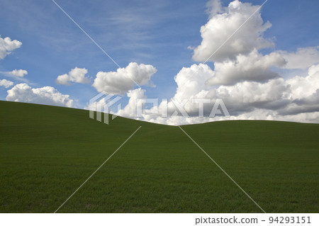 Blue field and sky landscape 94293151