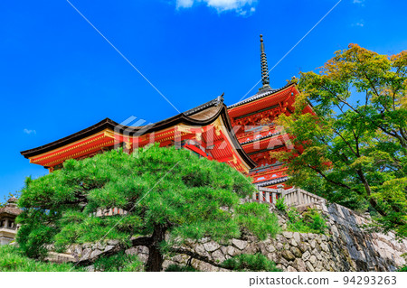 京都市東山區清水寺、西門和三層塔 94293263
