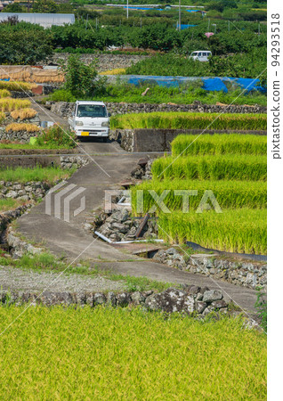 上一之瀨梯田 上一之瀨梯田 94293518