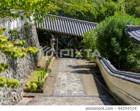 The stone steps and fresh greenery of Hase-dera Temple The stone steps and fresh greenery of Hase-dera Temple 94293524