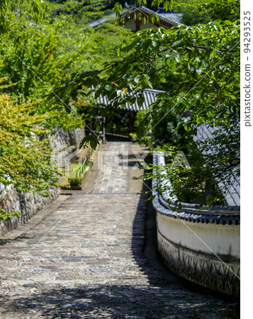 長谷寺的石階和清新的綠色植物 94293525