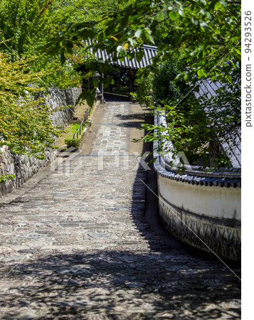 長谷寺的石階和清新的綠色植物 94293526