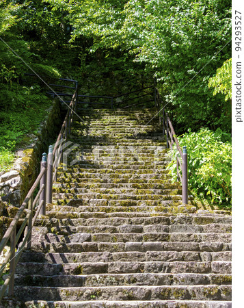 長谷寺的石階和清新的綠色植物 94293527