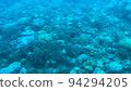 The sea of Amami Oshima seen from underwater 94294205