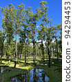 summer water garden 94294453
