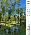 summer water garden 94294455