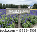 Lavender fields at Tomita Farm in Hokkaido 94294506