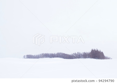 snow scene in Hokkaido 94294790