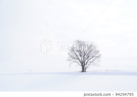 北海道的雪景 94294795
