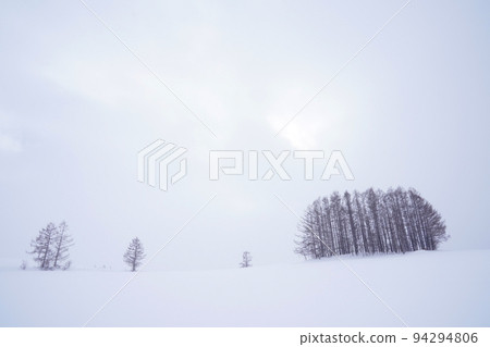北海道的雪景 94294806