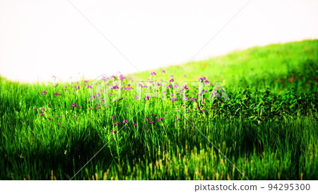 Green meadow under blue sky Green meadow under blue sky 94295300