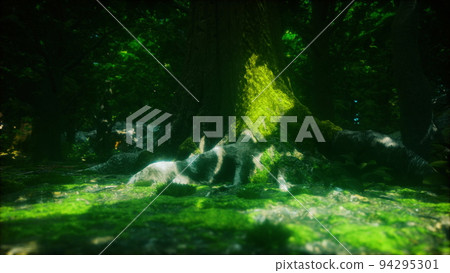 tree roots and sunshine in a green forest 94295301