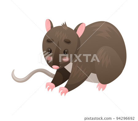 Cute Marsupial Rat as Australian Animal and Endemic Fauna Vector Illustration 94296692