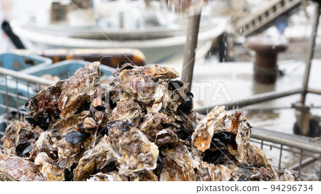 Work to wash oysters 94296734