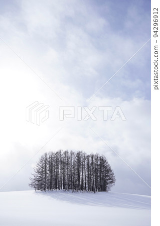 北海道的雪景 北海道的雪景 94296912