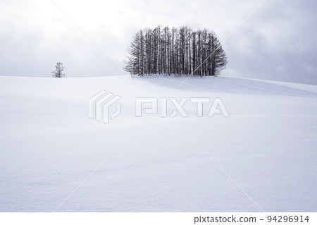 snow scene in Hokkaido snow scene in Hokkaido 94296914