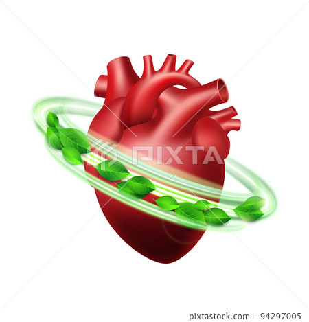 Healthy human heart in green protective circle with fresh leaves. Healthcare concept. Healthy human heart in green protective circle with fresh leaves. Healthcare concept. 94297005