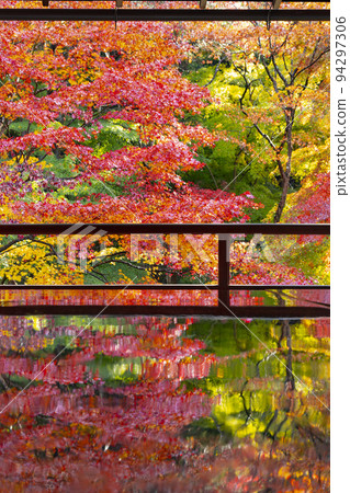Autumn leaves seen from Yase Rurikoin Shoin 94297306