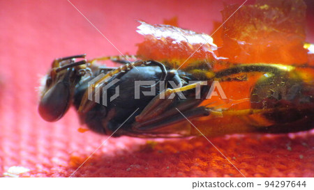 View of the lake 94297644