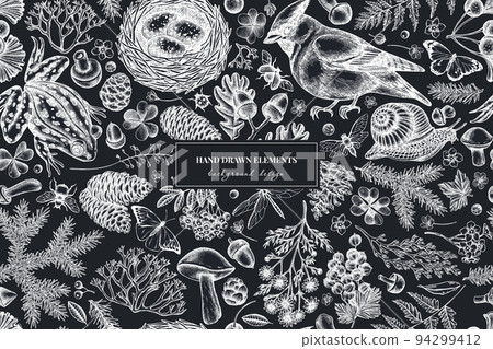 Mysterious forest seamless pattern background design. Engraved style. Hand drawn waxwing, snail, nest, pool frog, moss, spruce branch, pine cones, chamomile, insect, aspen mushroom, red currant, oak 94299412