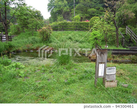 The source spring of the Tsurumi River The source spring of the Tsurumi River 94300461