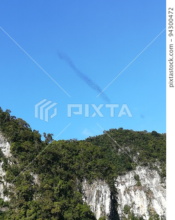 A flock of bats flying out of a cave in Gunung Mulu National Park, Borneo, Malaysia A flock of bats flying out of a cave in Gunung Mulu National Park, Borneo, Malaysia 94300472