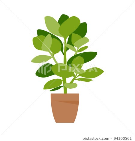 Home plant. Potted plant isolated on white. Flat. Vector illustration. Home plant. Potted plant isolated on white. Flat. Vector illustration. 94300561