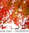 I found a bright red autumn 94300934